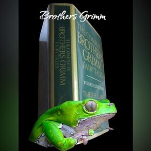 The Complete Brothers Grimm Fairy Tales Book